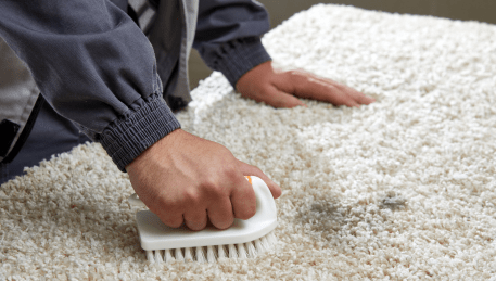 Professional Rug Cleaning Windsor